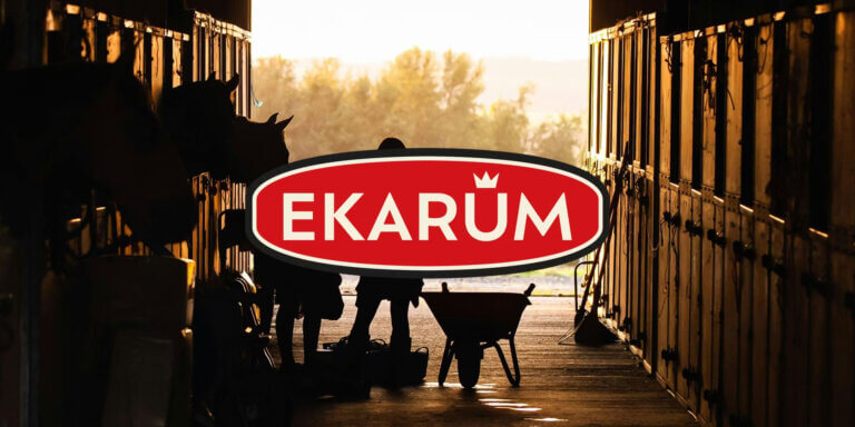 E-handel, Ekarum
